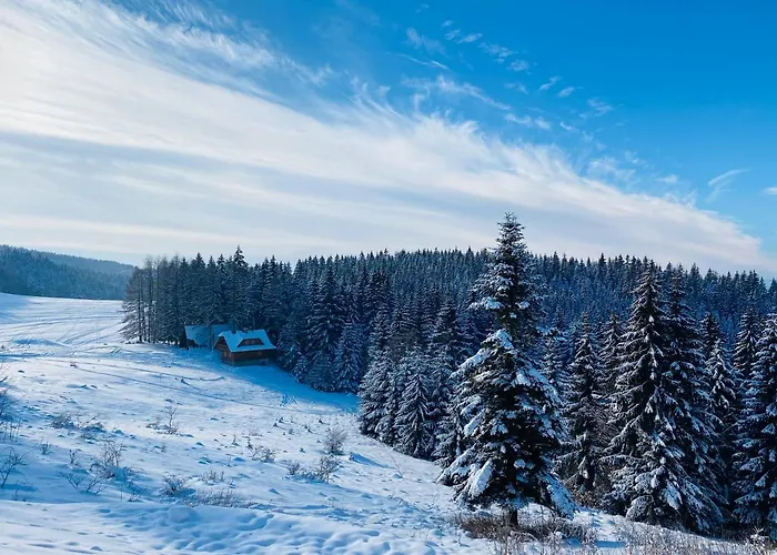 Oda ve Kahvaltı Ambiente